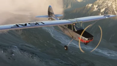 Cessna L–19 Bird Dog