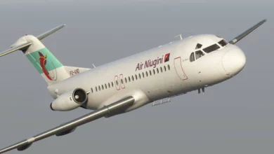 Fokker F28 Professional